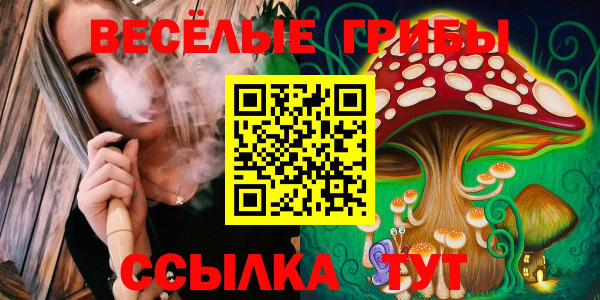 Приморско-Ахтарск  Псилоцибиновые грибы MAGIC MUSHROOMS  Вход с VPN 
