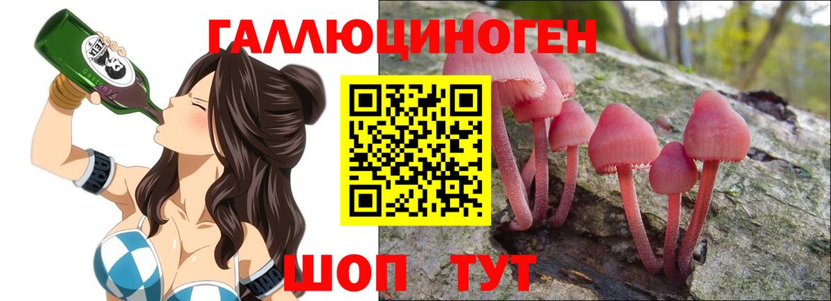 Галлюциногенные грибы ЛСД Приморско-Ахтарск